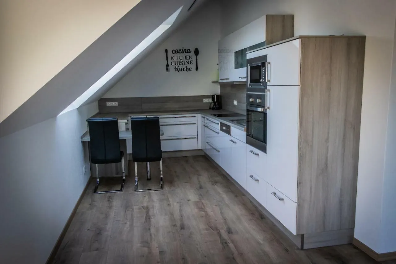 Landhaus Ferienwohnungen mit Pool und Wellness Neukirchen-Balbini Apartment